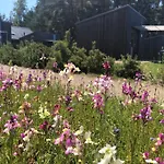 公寓 Hafencamp Senftenberger 圣弗顿堡