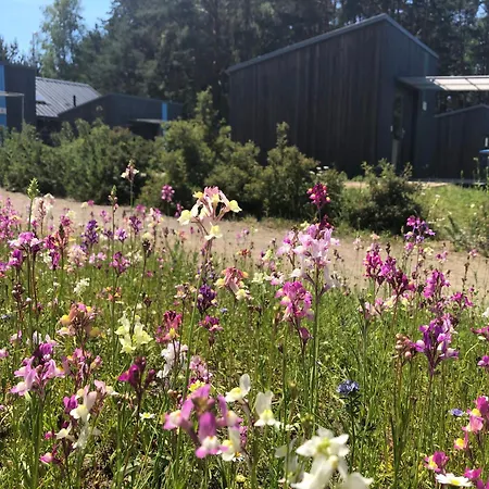 Apartamento Hafencamp Senftenberger Senftenberg