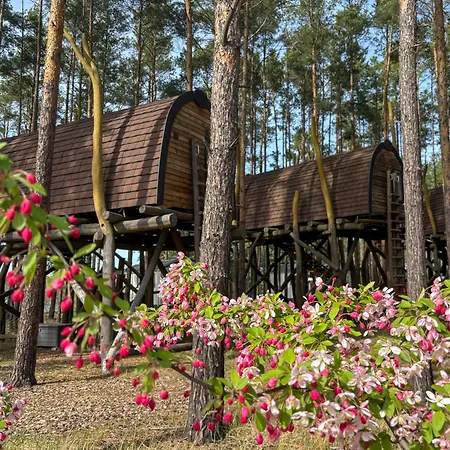 Hafencamp Senftenberger *