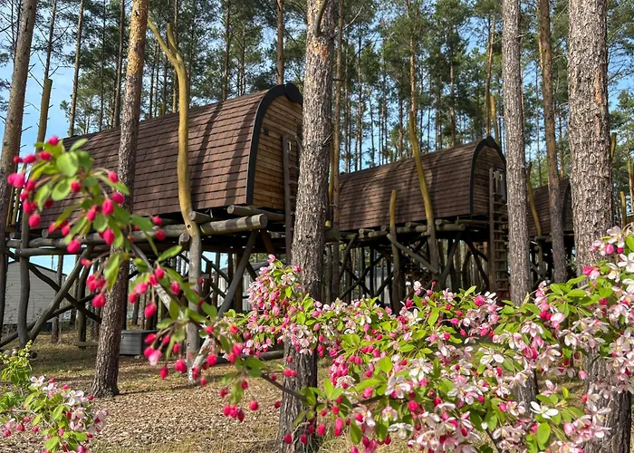 Hafencamp Senftenberger *