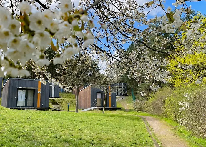 Lägenhet Hafencamp Senftenberger Senftenberg